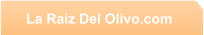 La Raiz Del Olivo.com